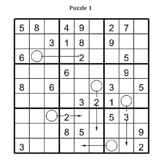 Travel Sudoku Puzzle Journal: Arrow Edition preview